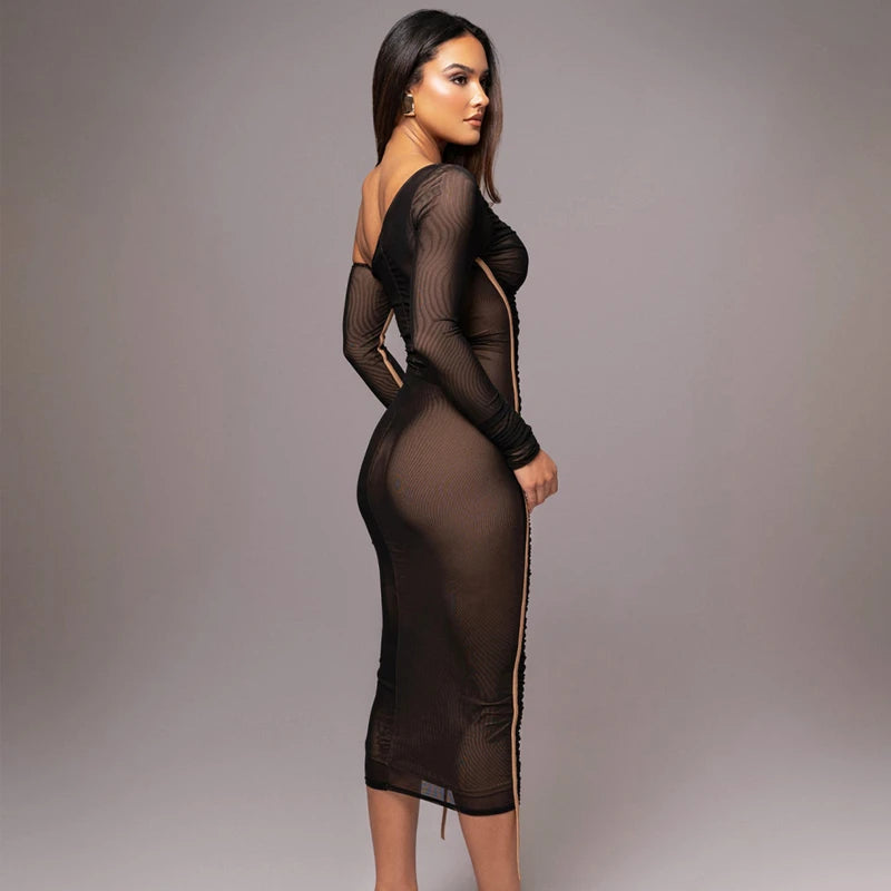 Mesh Long Sleeve Dress