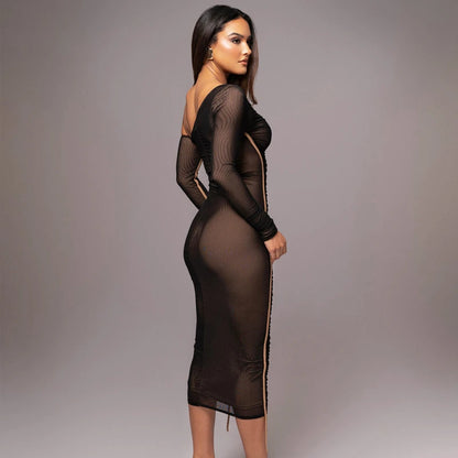 Mesh Long Sleeve Dress